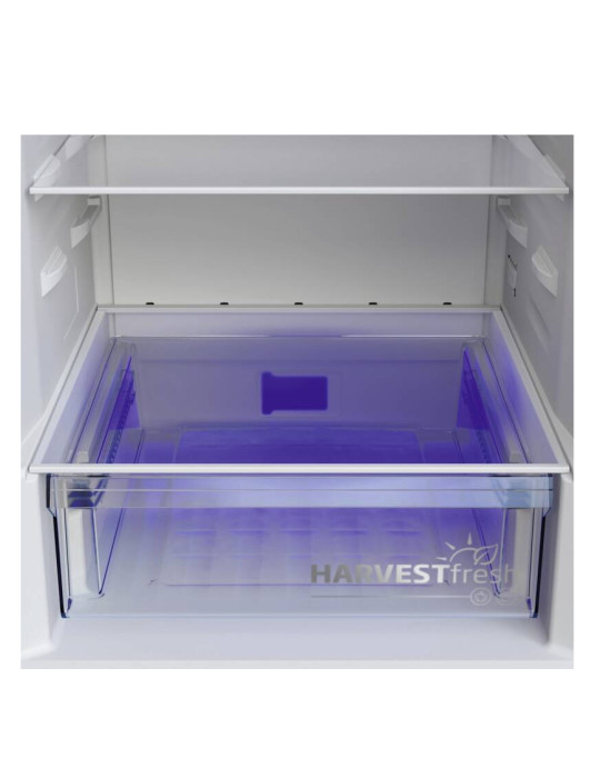 Beko B5RCNA346HG Pose libre 301 L Gris