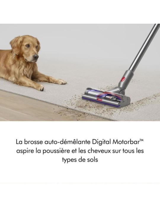 DYSON V15 Detect Absolute - Autonomie jusqu'à 60 min - Brosse avec lumière intégrée