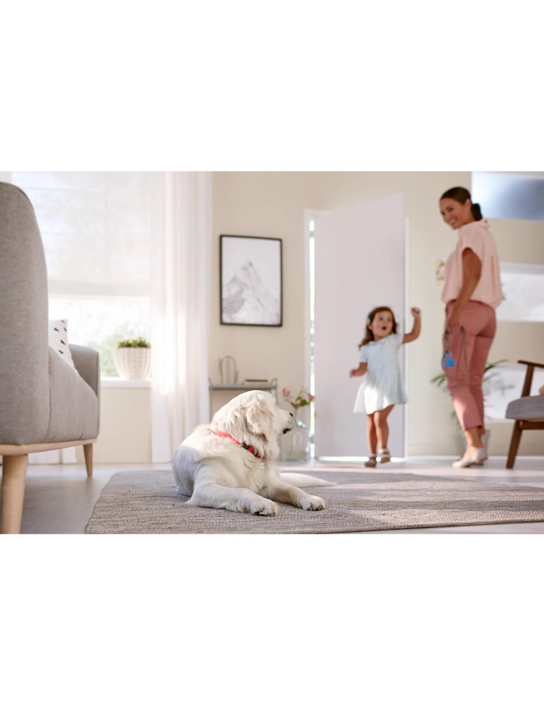 Philips Aspirateur-balai SpeedPro Max FC6823/01