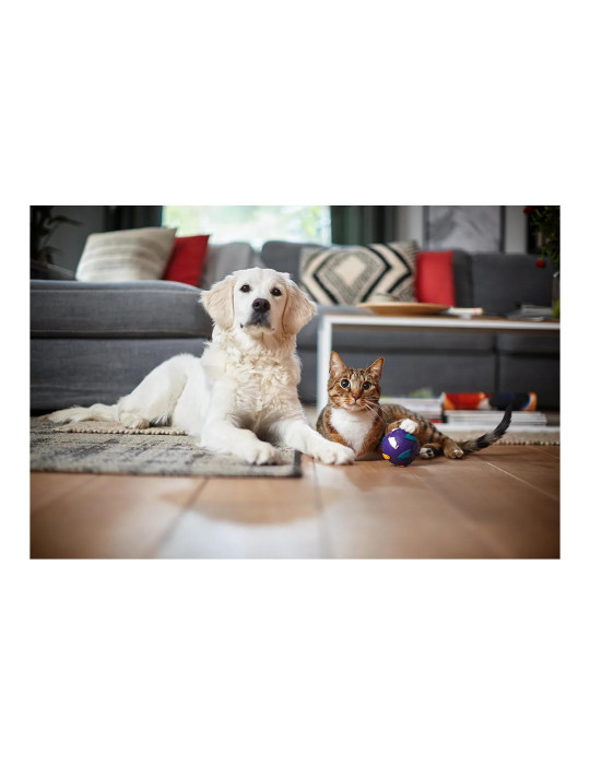 Philips PowerPro Expert Aspirateur sans sac FC9729/09