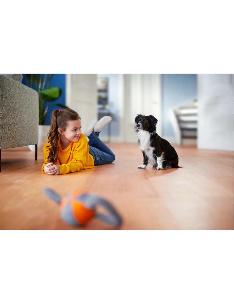 Philips PowerPro Expert Aspirateur sans sac FC9729/09