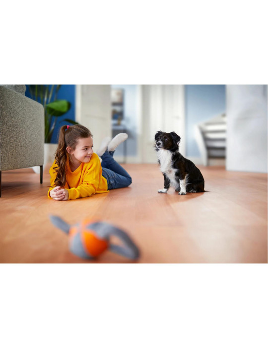 Philips PowerPro Expert Aspirateur sans sac FC9729/09