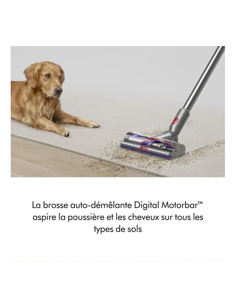 DYSON V15 Detect Absolute - Aspirateur sans fil - Puissance 240 Airwatts - Brosse avec lumière intégrée
