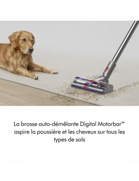 DYSON V15 Detect Absolute - Aspirateur sans fil - Puissance 240 Airwatts - Brosse avec lumière intégrée